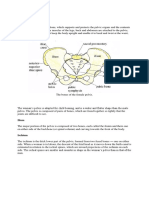 Anatomy and Physiology Word