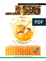 Vii-Ciclo Proyecto de Comercializacion de Miel de Abeja