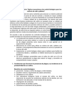 Aplicar Mecanismos de Control Biológico para Los Cultivos de Café y Plátano