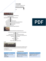 Degree of Burns: Characteristics