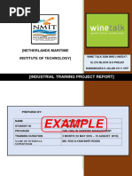 Example: (Industrial Training Project Report)