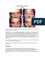 Myasthenia Gravis (MG) : Anatomy