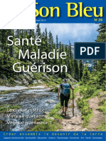 Revue26 Santé Maladie Guérison