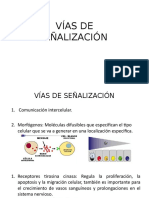 Vías de Señalización