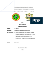 Informe #2 Fisica