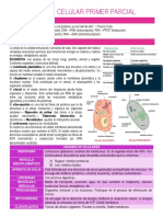 Biología Celular Primer Parcial 1