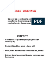 Les Sels Mineraux