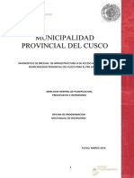 Diagnostico Pmi 2019-2021 Cusco Provincia