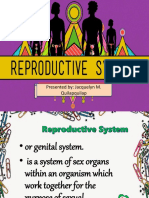 Male Reproductive Sysytem