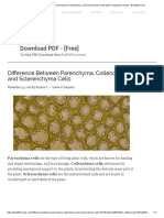 Difference Between Parenchyma Collenchyma, and Sclerenchyma Cells (With Comparison Chart) - Bio Differences