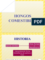 Hongos Comestibles