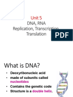 Unit 5 - Dna Replication