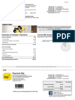 Payment Slip: Summary of Charges / Payments Current Bill Analysis