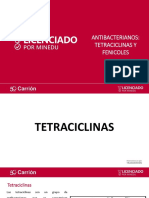 Antibacterianos, Tetraciclinas y Fenicoles