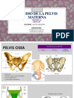 Estudio de La Pelvis Materna