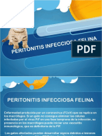 Peritonitis Infecciosa Felina