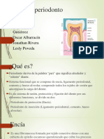 Fisiologia Del Periodonto