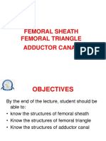 7th Week Femoral Sheath, Femoral Triangle and Adductor Canal