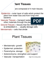 Botany Part2