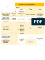 Cuadro Comparativo Mecanismos de Evasion