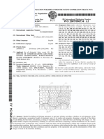 WO 2007/096734 Al: International Bureau