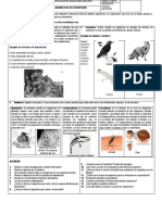 Taller Ecositema