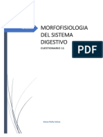 Morfofisiologia Del Sistema Digestivo