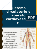 Sistema Circulatorio Expo