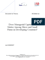 Does Managerial Capital Also Matter Among Micro and Small Firms in Developing Countries?