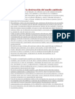 Ensayo Sobre La Destrucción Del Medio Ambiente PDF