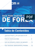 Guia Nuevo en Forex PDF