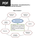 Conceptualización y Clasificación de Los Alimentos