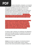 Dentición Del Equino Es Hipsodonta