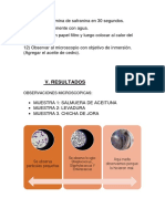 V. Resultados: Observaciones Microscopicas