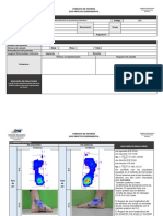 Formato Informe Presiones Plantares 1