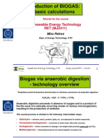 BIOGAS Problem Solving Tutorial