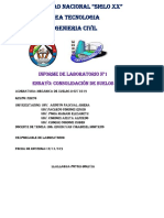 Informe de Consolidacion 2019