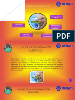 La Contaminación Ambiental