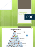 Categorías Taxonómicas