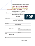 Informe Modelo V