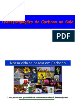 Ciclo Do Carbono