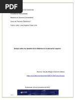 Ensayo Sobre Los Desafíos de La Didáctica en La Educación Superior.