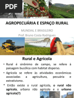 Agropecuária e Espaço Rural