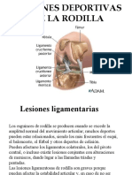 Lesiones de La Rodilla Bitterman Sebstian