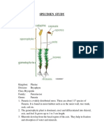 Bio Practical Specimen Study