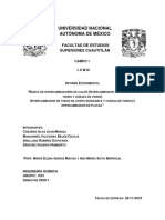 Informe LEM III