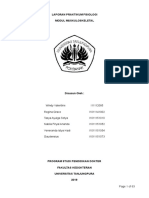 Laporan Praktikum Fisiologi - Kelompok A