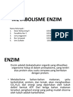 Enzim 