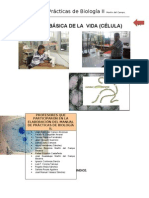 Practicas de Biologia Dos