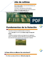 Sesión 3 Rotación y Cedula Crítica de Cultivos